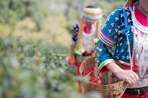 Cultural Significance of Handwoven Textiles in Contemporary Indian Celebrations
