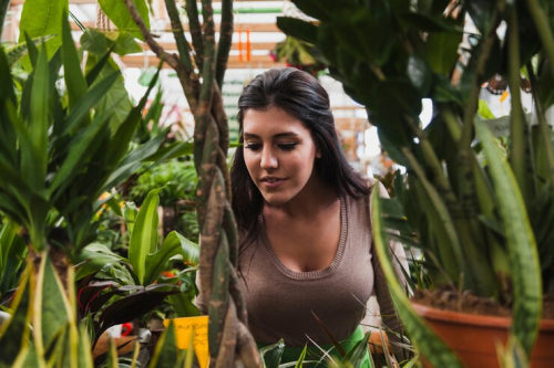 How Sustainability Is Redefining Indian Lifestyle Choices