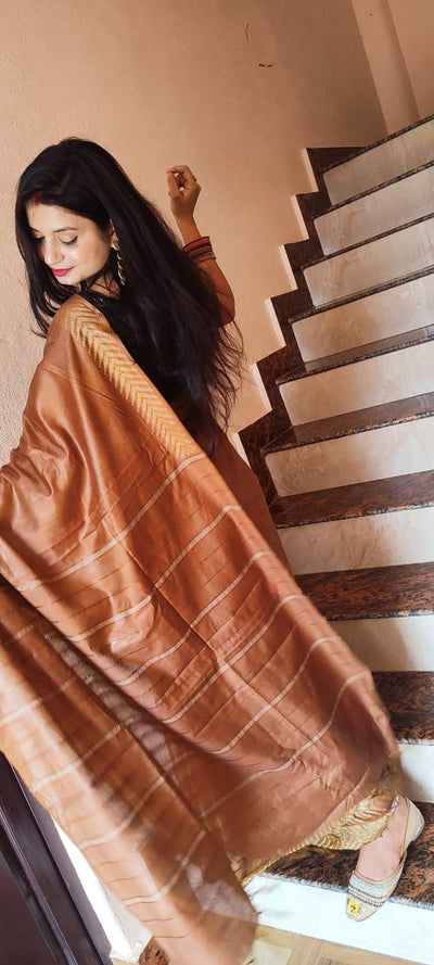 Joyful Silkmark Certified Chanderi Silk Brown Saree