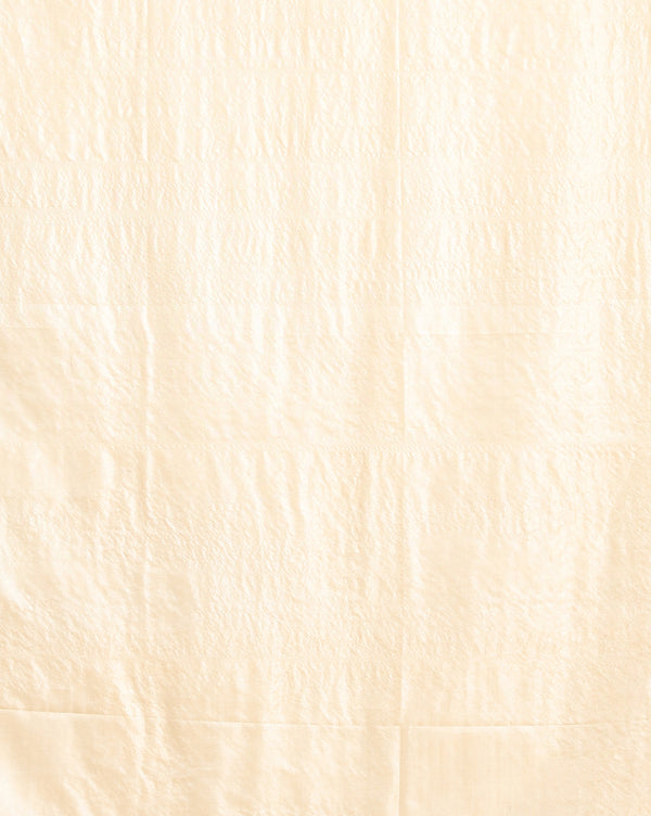 Silkmark Tussar Beige Top Katan Silk Black Dupatta