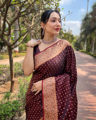 Indiehaat | Banarasi Jaal Katan Silk Zari Woven Maroon Saree