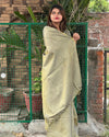 Hand Dyed Pure Tissue Linen Gray Color Saree With Running Blouse Hand Dyed-Indiehaat