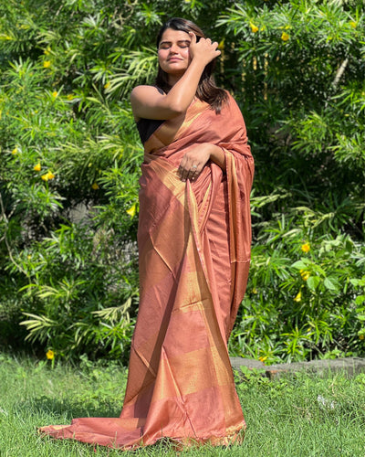 Handloom Jayashree Silk Saree Light Brown Colour with Running Blouse-Indiehaat