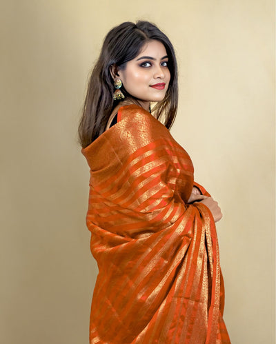 Indiehaat | Banarasi Georgette Silk Saree Orange