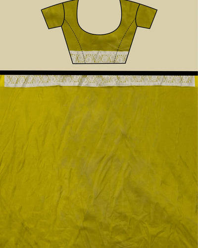 Indiehaat | Banarasi Brocade Organza Silk Saree Green