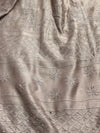 Indiehaat | Chikankari Pure Chanderi Silk Saree Beige