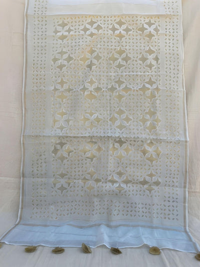 Indiehaat | Pure Chandei Silk Applique Saree White