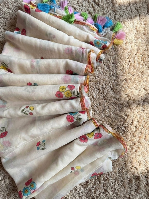 Indiehaat | Pure Mul Cotton Handloom Weaving saree White