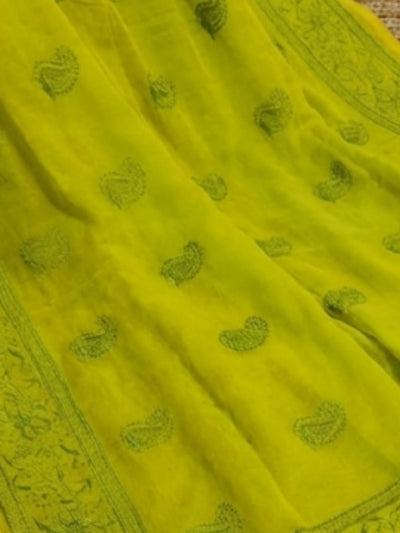 Indiehaat | Pure Mul Cotton Chikankari Saree Green