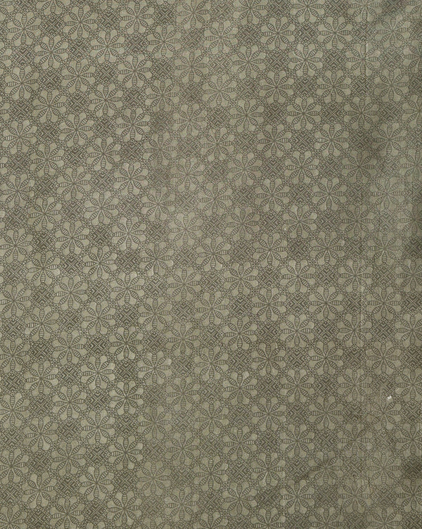 Indiehaat | Kashmiri Silk Printed Saree Sage Green & Ligh