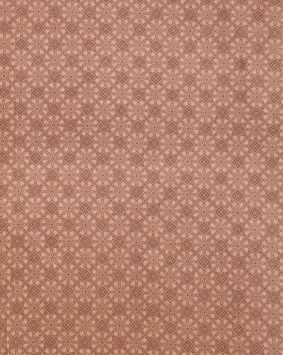 Indiehaat | Kashmiri Silk Printed Saree Tan & Brown