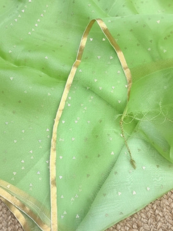 Indiehaat | Muslin Silk Jamdani Sequin Saree Green