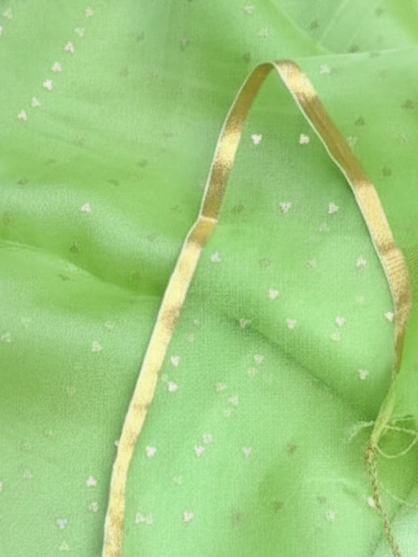 Indiehaat | Muslin Silk Jamdani Sequin Saree Green