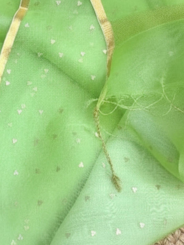 Indiehaat | Muslin Silk Jamdani Sequin Saree Green