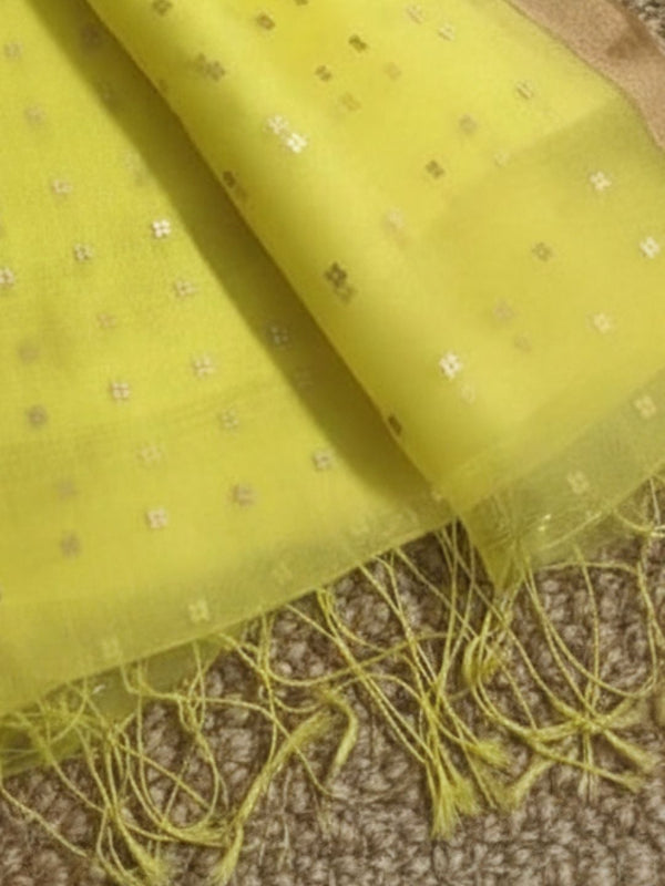 Indiehaat | Muslin Silk Jamdani Sequin Saree Yellow