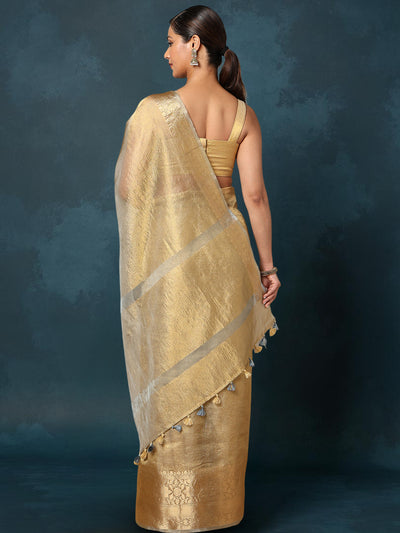 Indiehaat | Banarasi Crushed Tissue Silk Gold