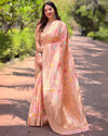 Indiehaat | Organza Meenakari Floral Jaal Zari Woven Peach Saree