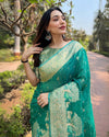 Indiehaat | Organza Floral Rainbow Zari Woven Green Saree