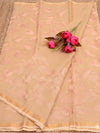 Pankhudi Kota Doria Cozy Peach Saree Embroidered