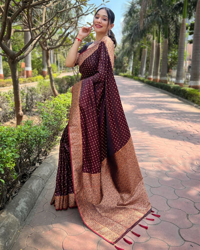 Indiehaat | Banarasi Jaal Katan Silk Zari Woven Maroon Saree