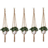 Jute Plant Hanger (Set of 5)Size : 40" Long-Indiehaat
