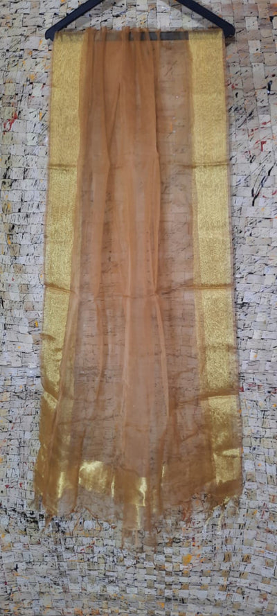 Hand Dyed Pure Organza Biege Dupatta-Indiehaat