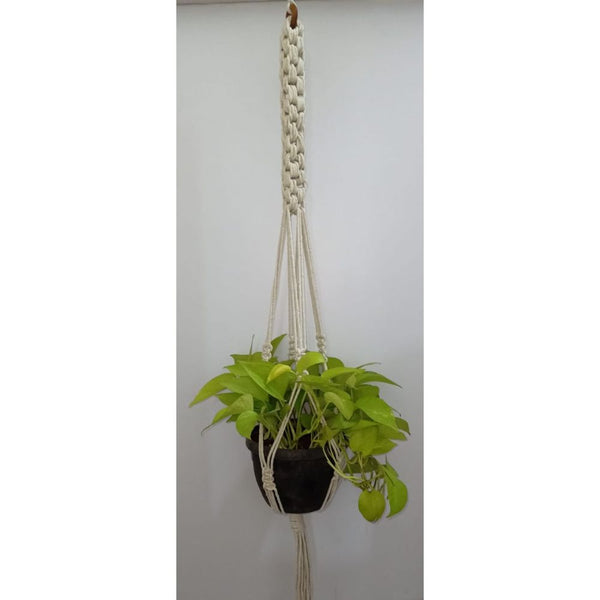Scooby Plant HangerSize: 40" Long Material : Cottan Colour : Natural White-Indiehaat