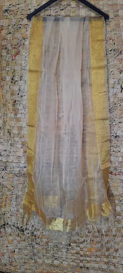 Hand Dyed Pure Organza White Dupatta-Indiehaat